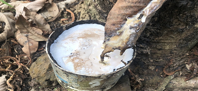 環(huán)氧樹脂非硅消泡劑
